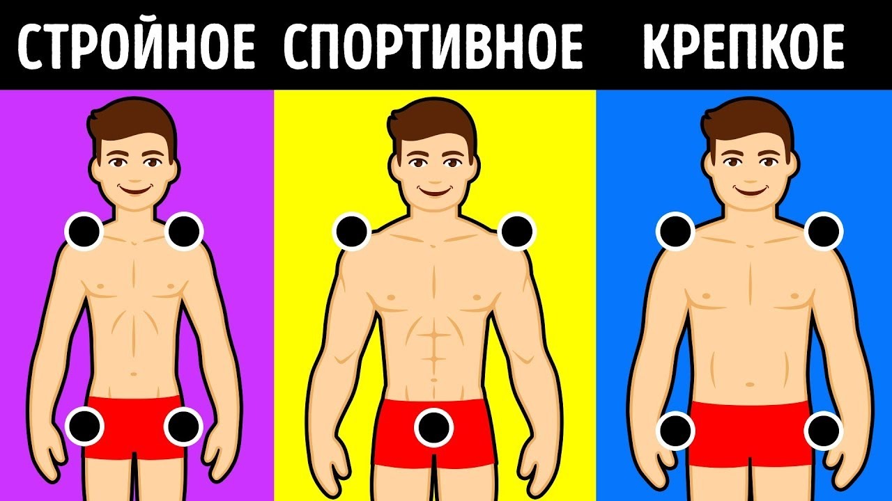 Телосложение и болезни: в чем связь