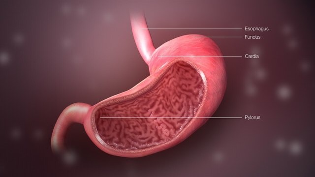 Не шутите с больным желудком — хронический гастрит